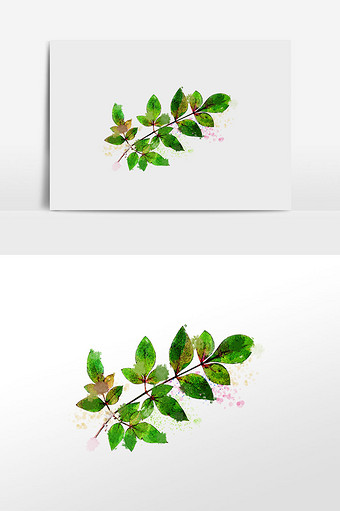 植物系列清新绿色叶子植物水彩手绘插画图片