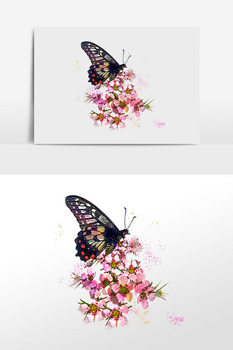 花卉系列粉色小花花丛和蝴蝶水彩手绘插画图片