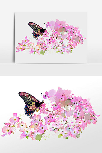 花卉系列粉色小花花枝花丛蝴蝶水彩手绘插画图片