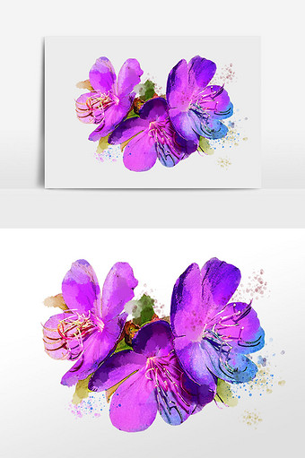花卉系列三朵紫色小花水彩手绘插画图片