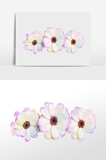 花卉系列三朵白紫相间小花水彩手绘插画图片