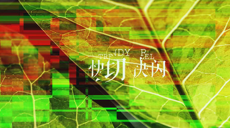 动感活力抖动失真图片文字视频相册Pr模板