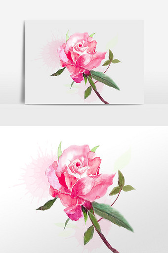 花卉之玫瑰清新水彩手绘元素图片