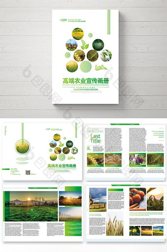 清新时尚农业产品宣传画册图片