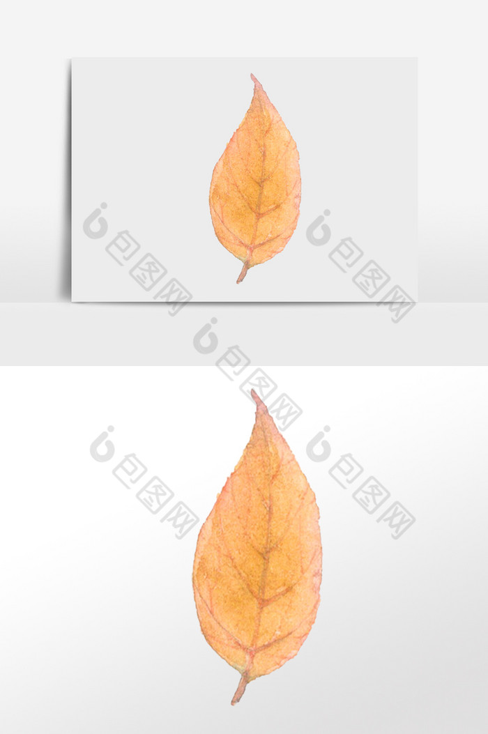 黄色落叶秋季图片