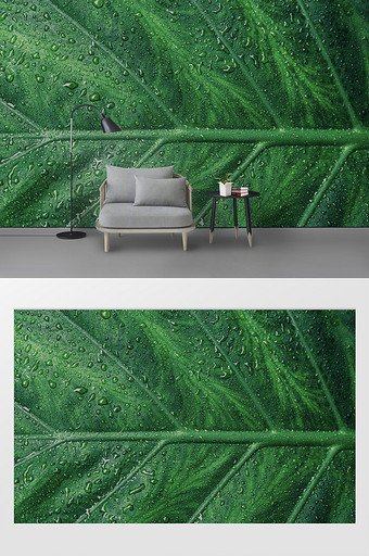 现代简约绿色清新植物带水滴背景墙图片