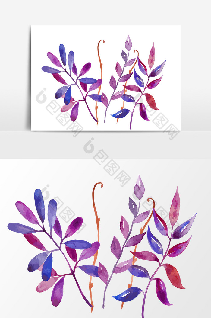 紫叶子图片图片