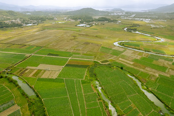 航拍田野绿色农田