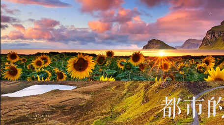 时尚动感活泼图文字幕展示宣传开场pr模版