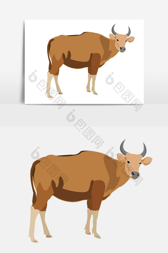 棕色的牛吃草图片