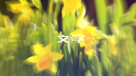 流畅动感重踏节奏快闪图文展示片头AE模板