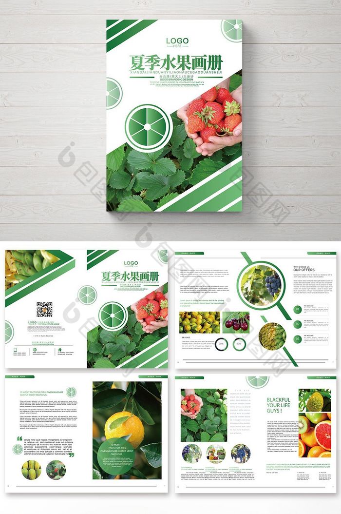 画册设计绿色画册招商手册图片
