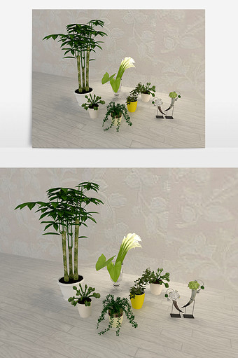 现代室内绿植的盆栽图片