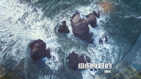 透明弧线转场营造阳光<strong>图文</strong>动画相册AE模板