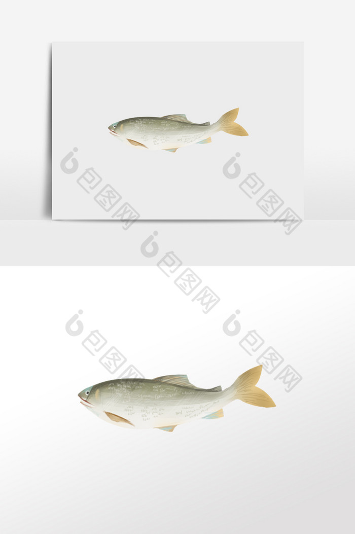 插画动物鱼类图片