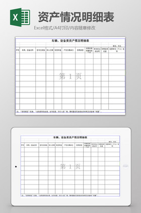 单位资产情况明细表