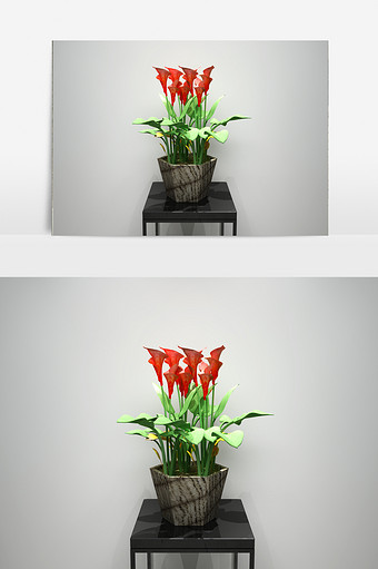 花卉景观园艺植物3D模型图片