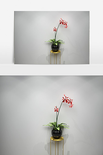装饰花卉景观植物模型图片