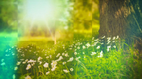 时尚图文切割动感节奏幻灯片宣传AE模板