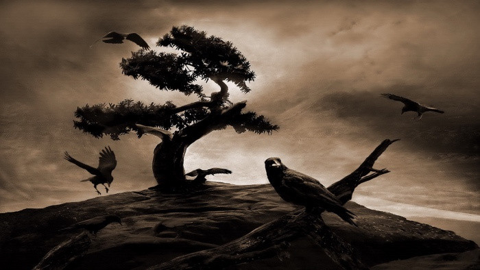 尴尬音效下载-尴尬音效素材