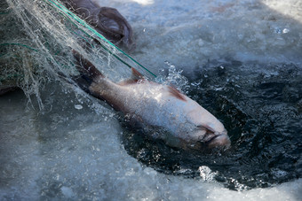 寒冷的冬季在冰冻的湖面上凿冰捕鱼