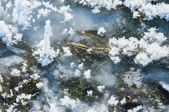 冬天野外溪水冻结冰层上的冰凌花冰松结晶
