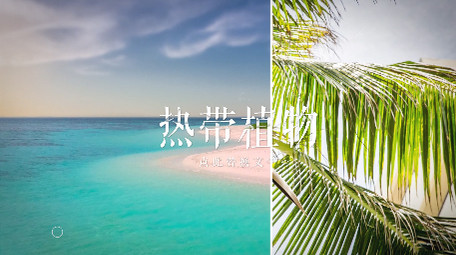 快速动感故障特效装饰图文展示开场AE模板