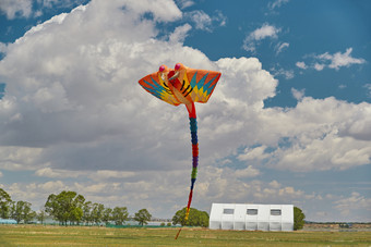 坝上草原<strong>风筝节</strong>上天空飞舞的风筝