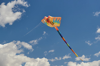 坝上草原<strong>风筝节</strong>上天空飞舞的风筝