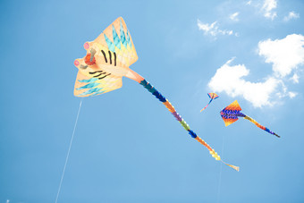 坝上草原<strong>风筝节</strong>上天空飞舞的风筝