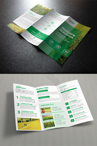 绿色农业水稻种植技术宣传三折页图片