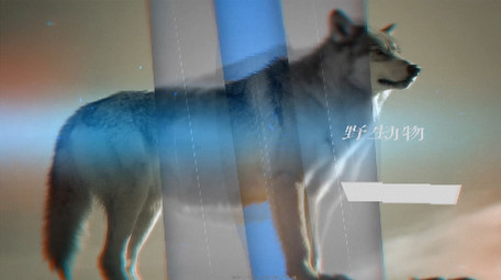 流动转场图像视差唯美特效图文展示AE模版