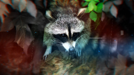 流动转场图像视差唯美特效图文展示AE模版