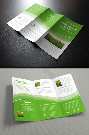 绿色线条创意水稻种植技术三折页图片
