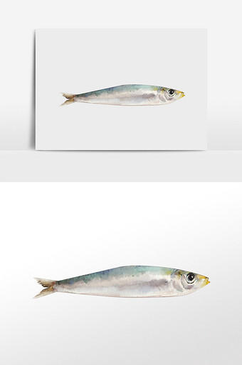 水彩手绘元素沙丁鱼类小鱼图片