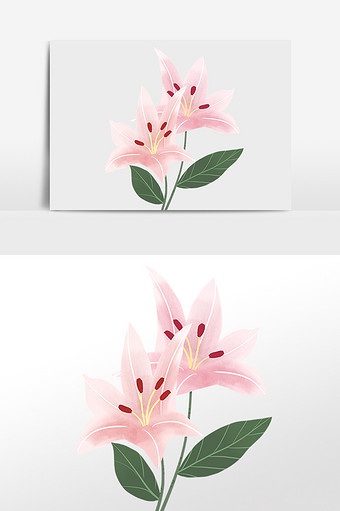 中国风小清新粉色百合花插画元素图片