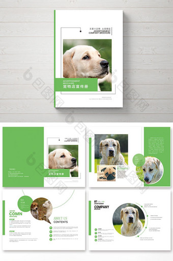 整套时尚大气绿色宠物店画册宣传册图片