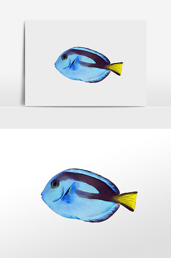 水彩手绘元素蓝色鳕鱼图片