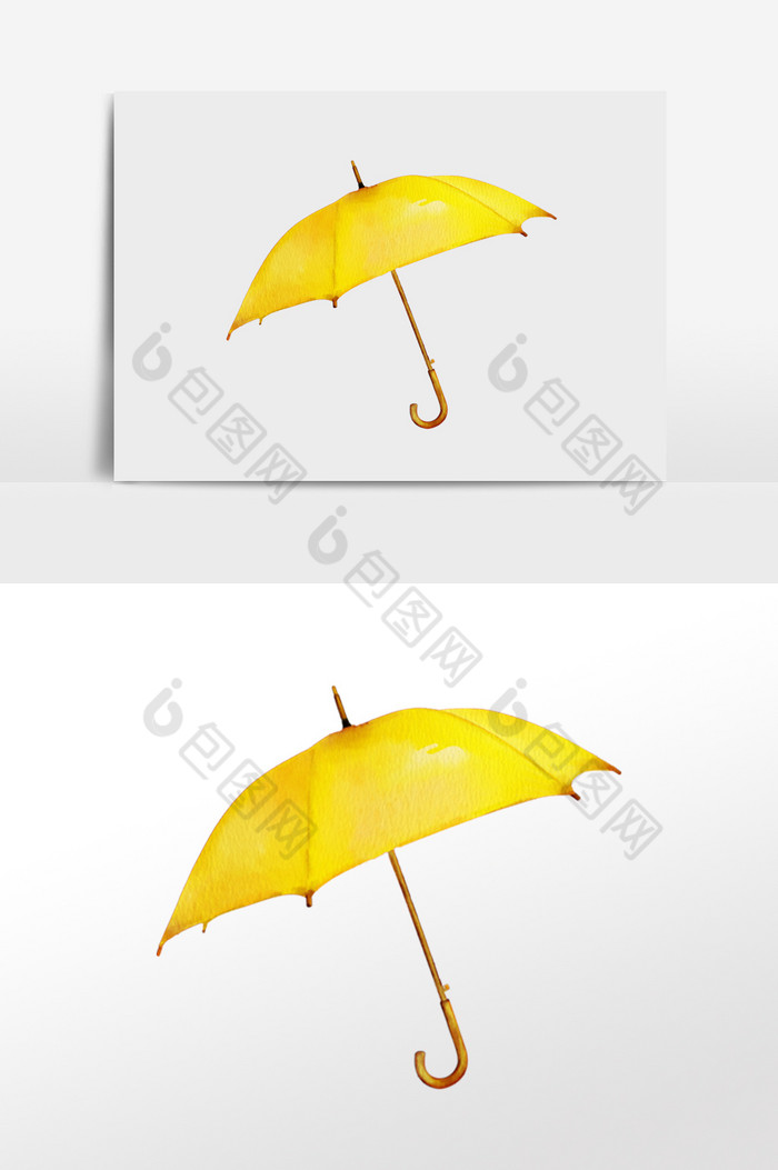 黄伞长柄伞图片