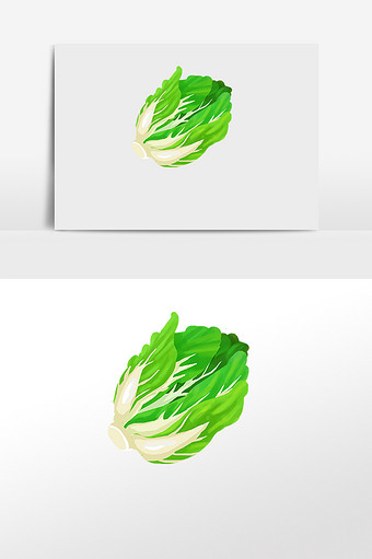 小清新新鲜白菜插画素材图片