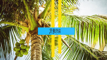 动感时尚夏天魅力包装简约现代幻灯Pr模版