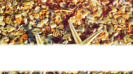 动感时尚夏天魅力包装简约现代幻灯Pr模版