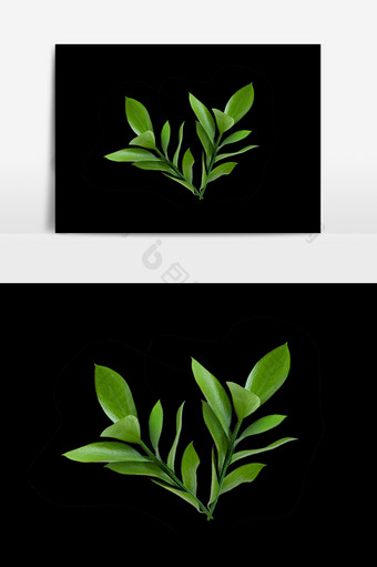绿色植物绿叶设计元素图片