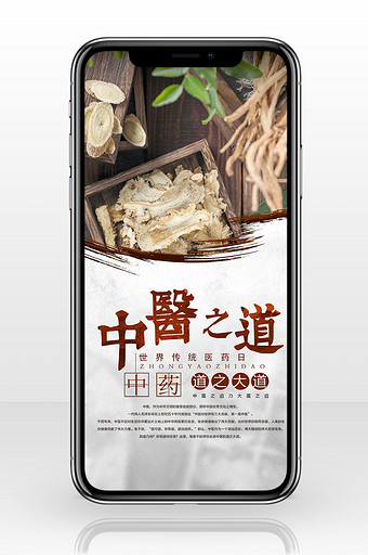 世界传统医药日中医之道手机海报图图片