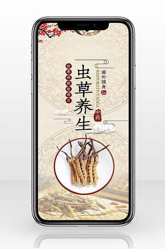 世界传统医药日虫草药材手机海报图图片