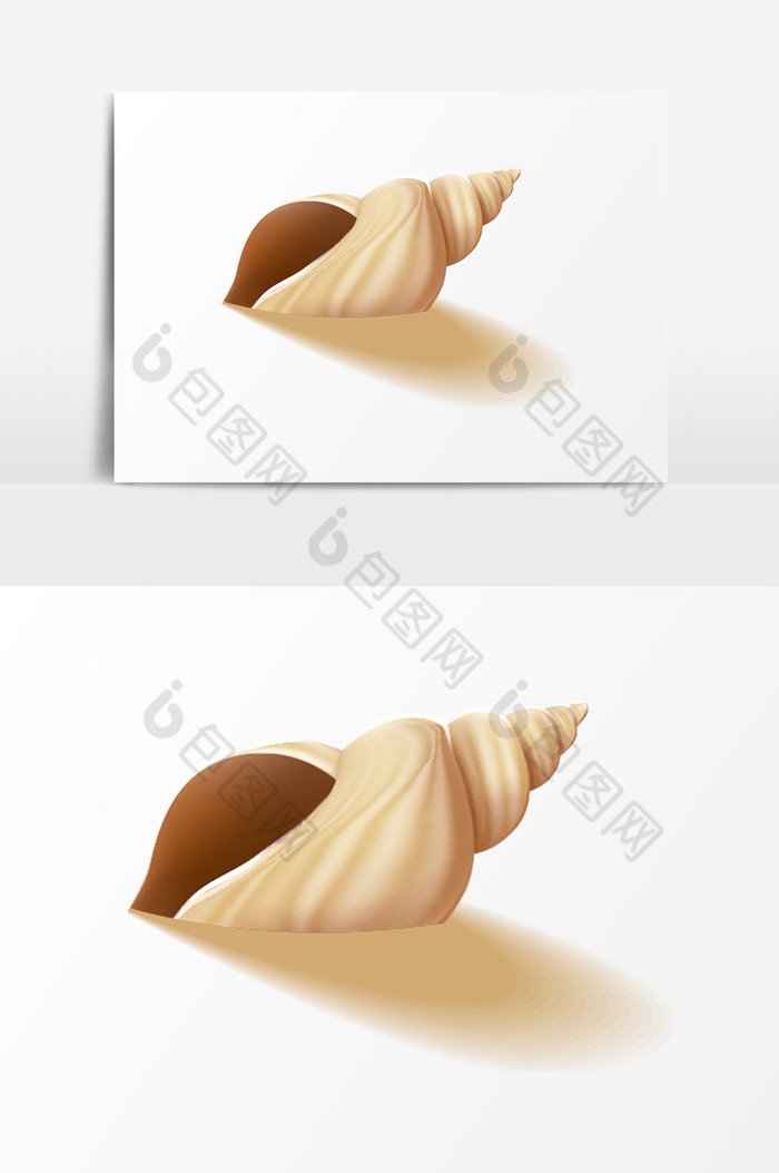 土黄的海螺PSD图片图片