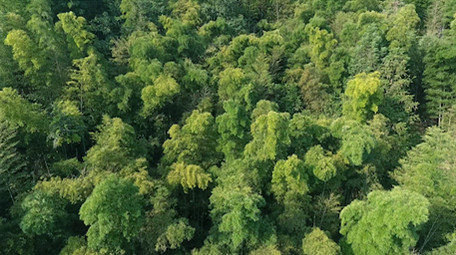 偏僻地区小镇村庄小城故事多