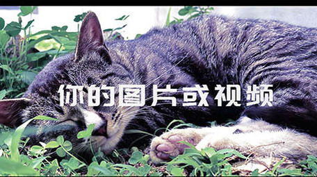 48秒图片文字节奏快闪模板