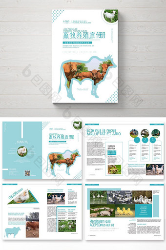 简约时尚畜牧养殖行业画册图片