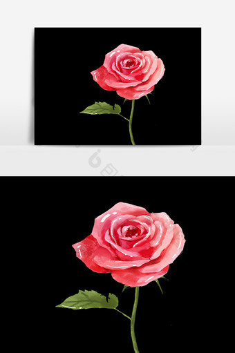 玫瑰花朵鲜花素材图片